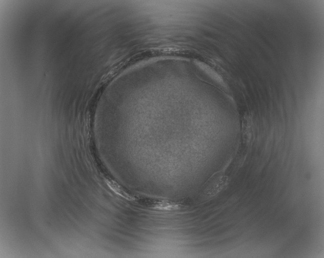 X0000080710760200701021028