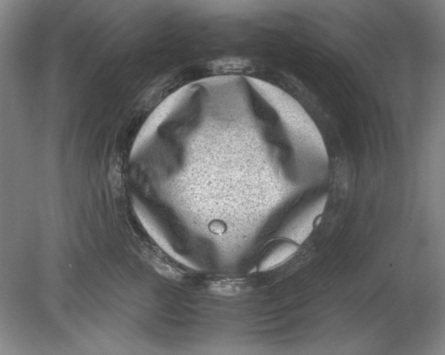 X0000080710761200701021028