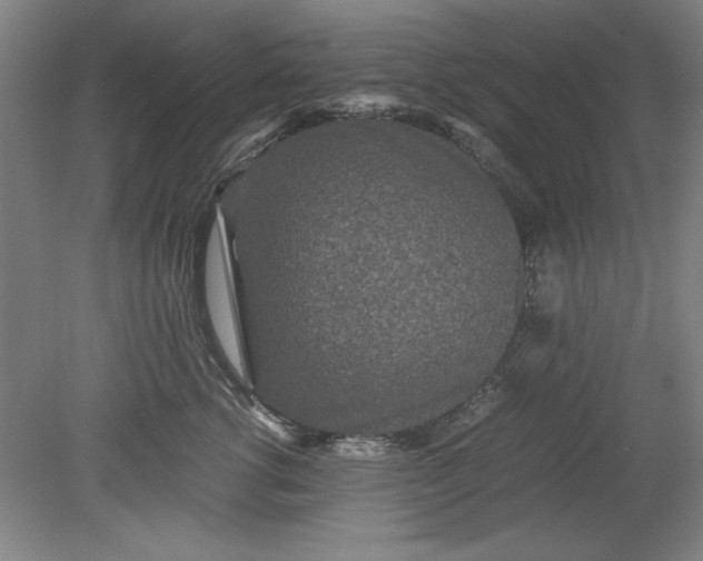 X0000080710762200701021028