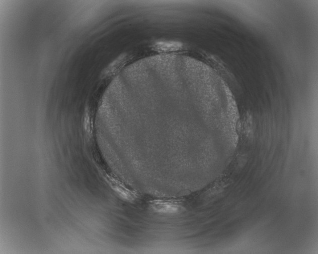 X0000080710763200701021028