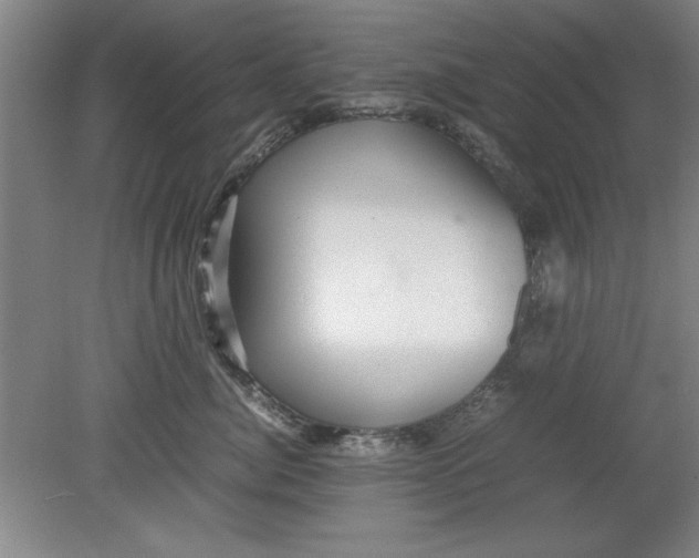 X0000080710764200701021028