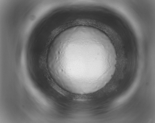 X0000080710765200701021028