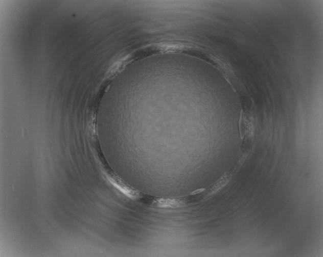 X0000080710766200701021028