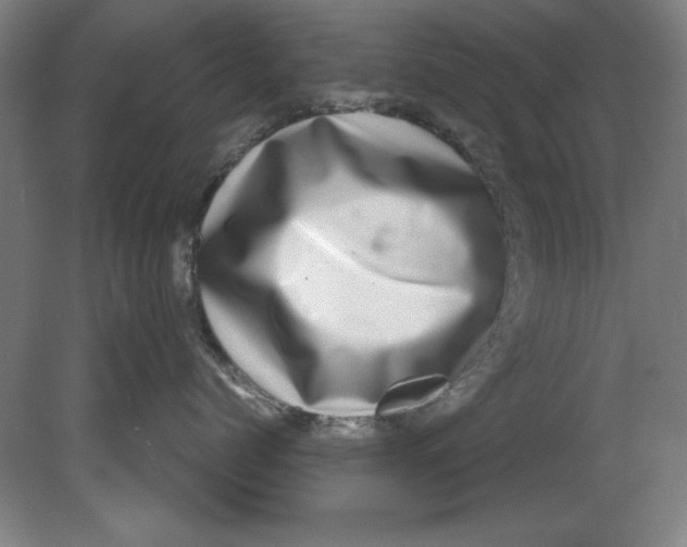 X0000080710768200701021028