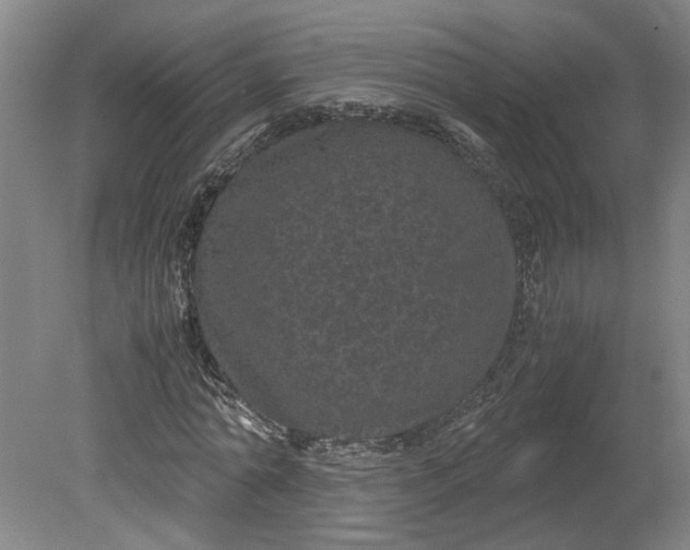 X0000080710774200701021027