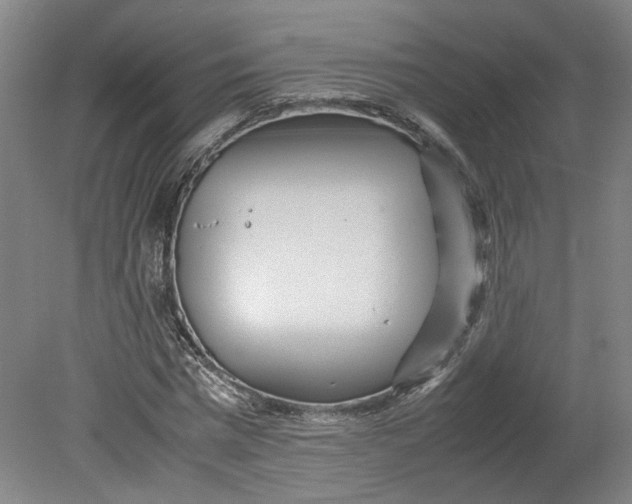 X0000080710777200701021027