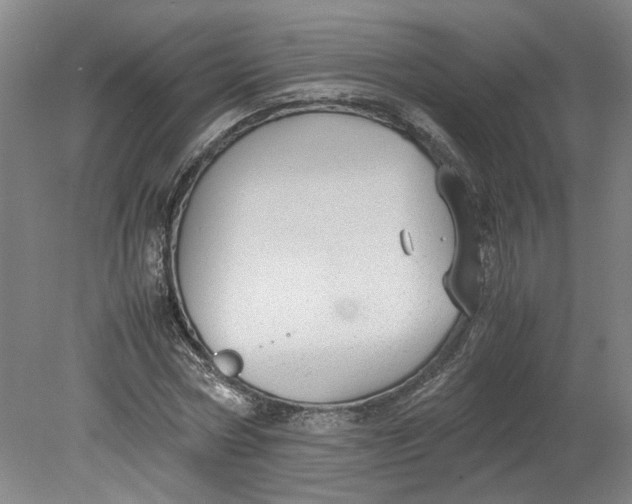 X0000080710778200701021027