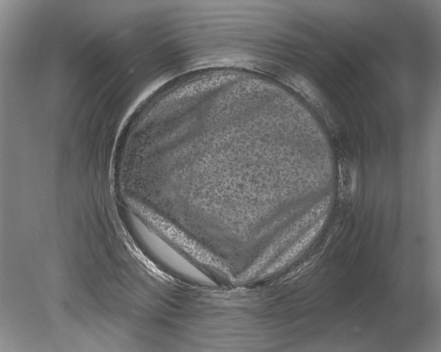 X0000080710780200701021027