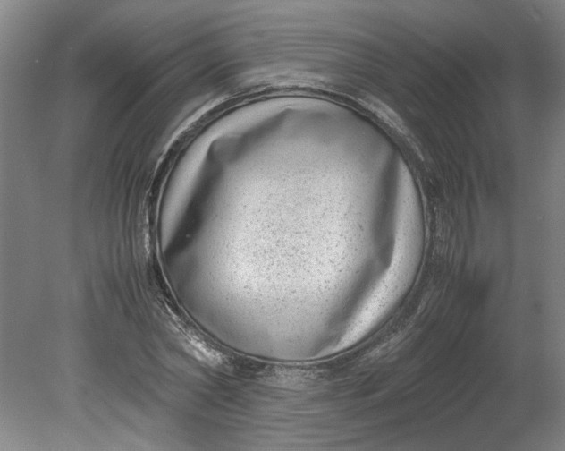 X0000080710782200701021027