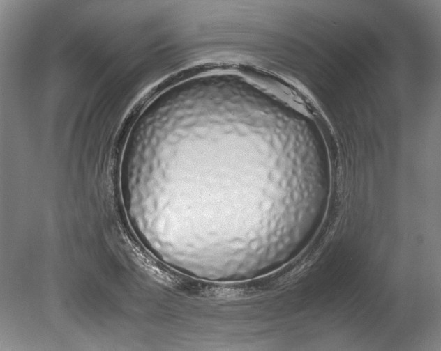 X0000080710783200701021027