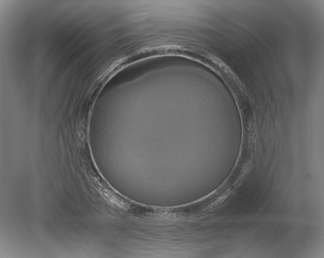 X0000080710785200701021027