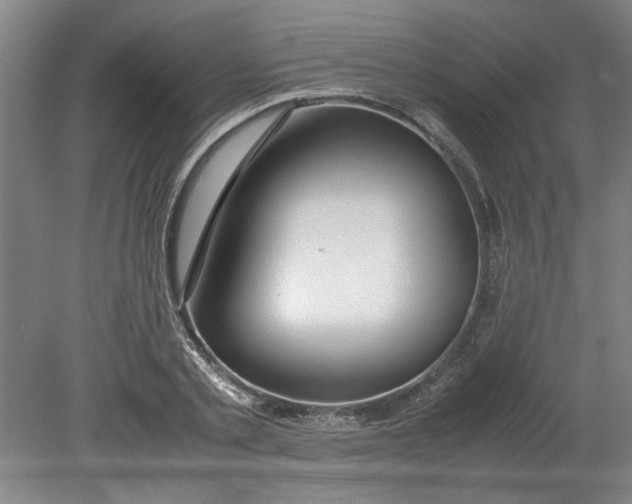 X0000080710789200701021027