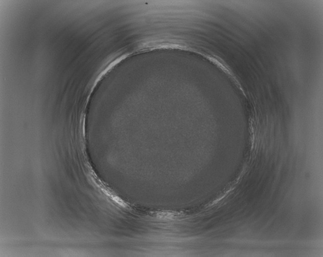 X0000080710790200701021027