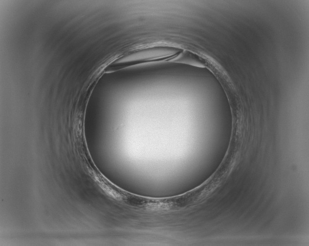 X0000080710793200701021027