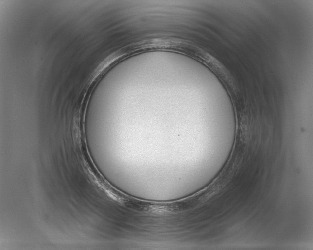 X0000080710794200701021027