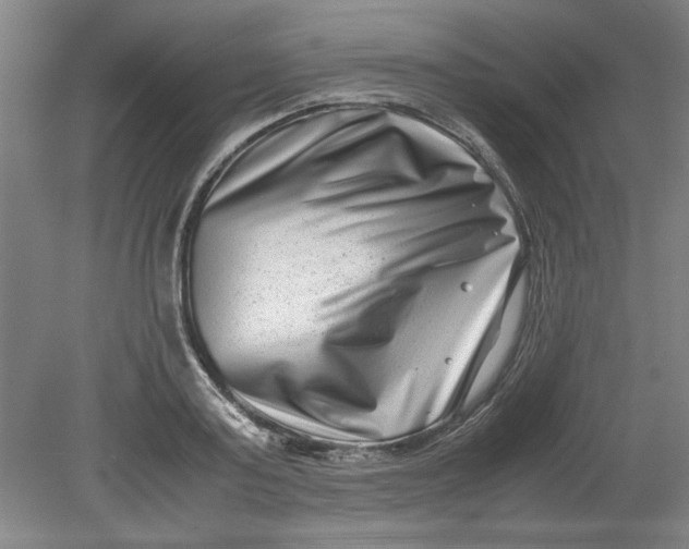 X0000080710795200701021027