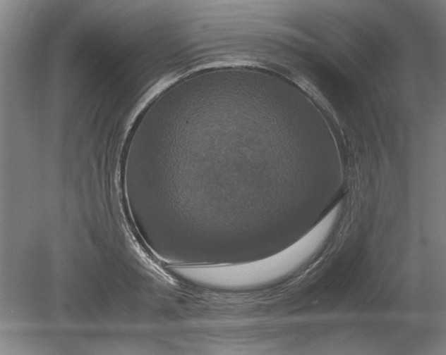 X0000080710797200701021027