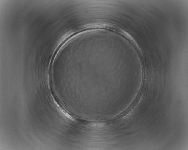 X0000080710802200701021027