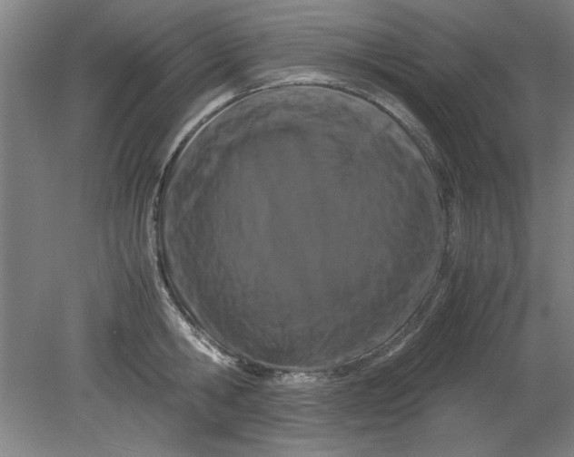 X0000080710806200701021027