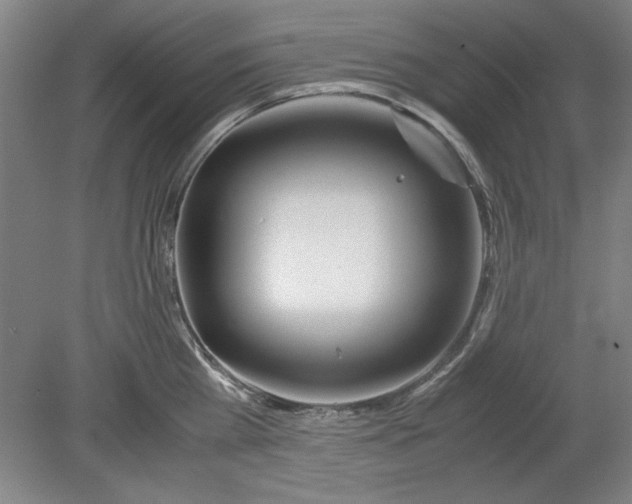 X0000080710809200701021027