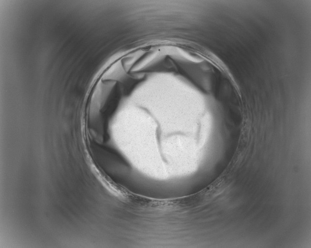 X0000080710811200701021027