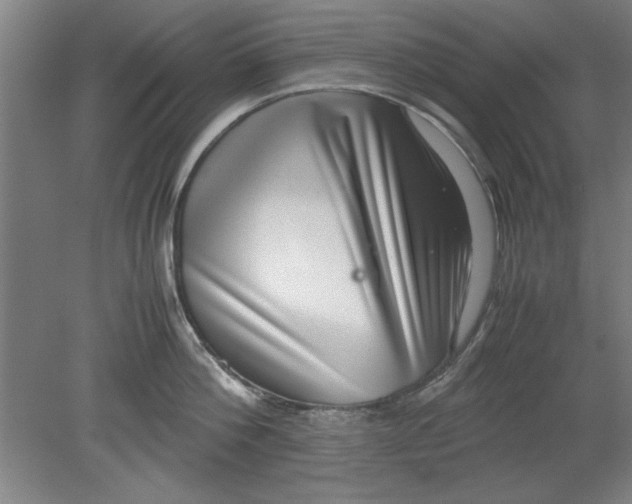 X0000080710812200701021027