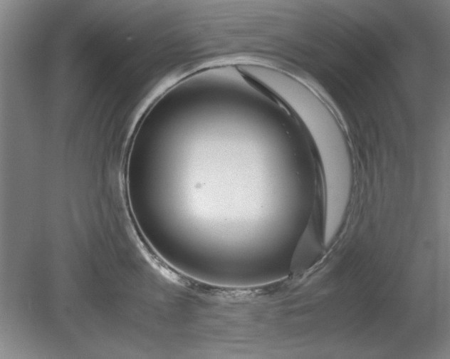 X0000080710813200701021027