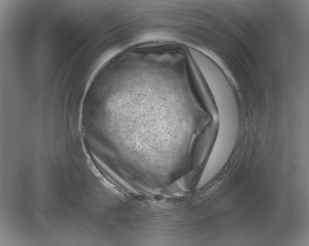 X0000080710815200701021027