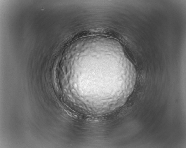 X0000080710817200701021026