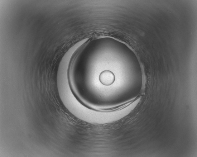 X0000080710818200701021026