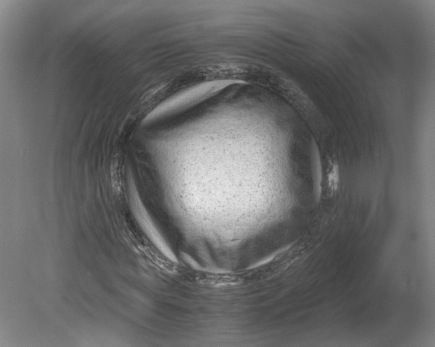 X0000080710819200701021026