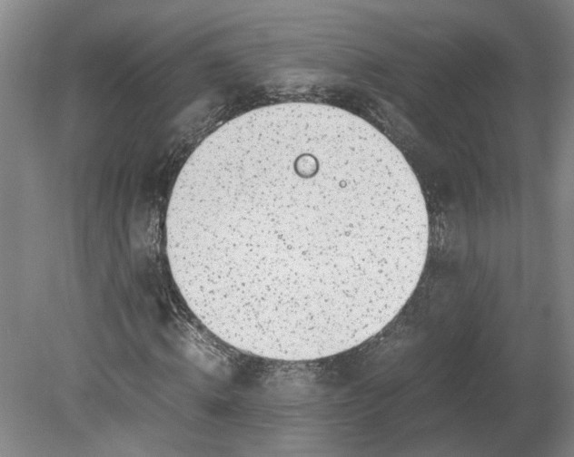 X0000080710820200701021026