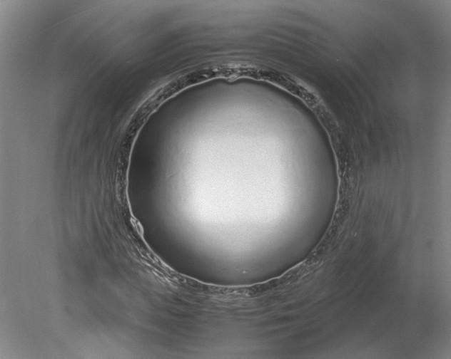 X0000080710823200701021026