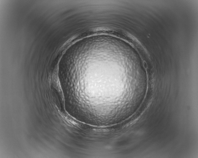 X0000080710825200701021026