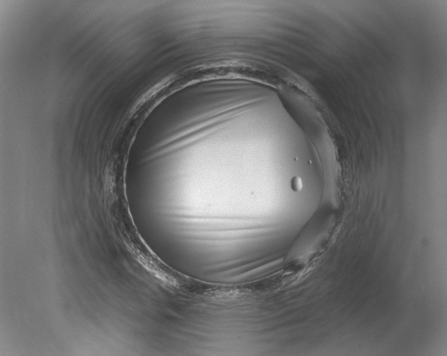 X0000080710826200701021026