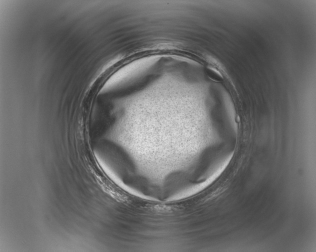 X0000080710827200701021026