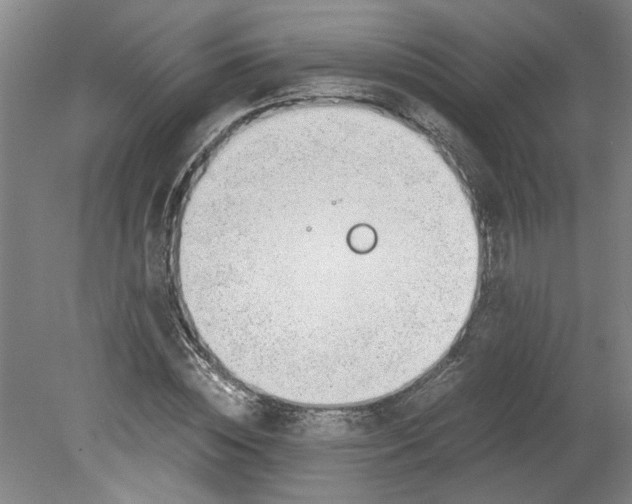 X0000080710828200701021026