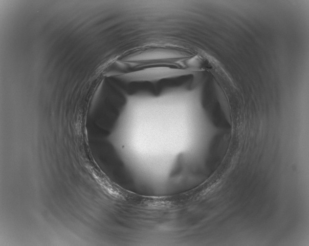 X0000080710833200701021026