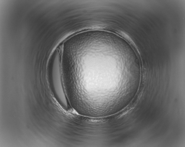 X0000080710835200701021026