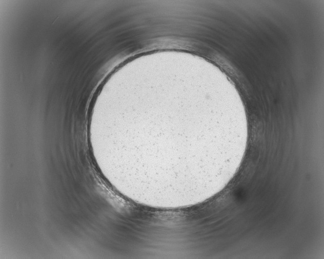 X0000080710836200701021026