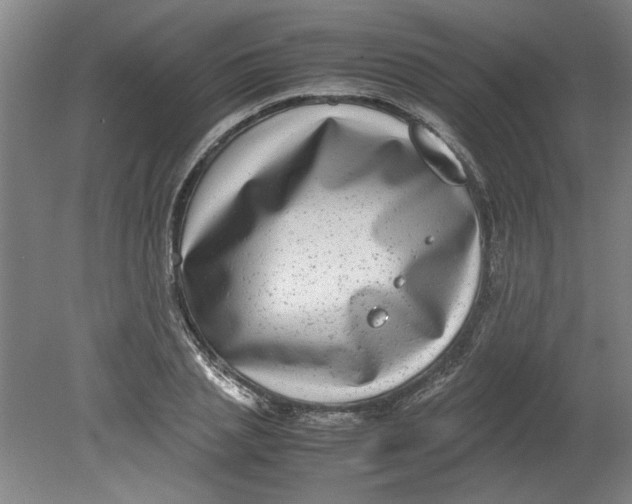 X0000080710837200701021026