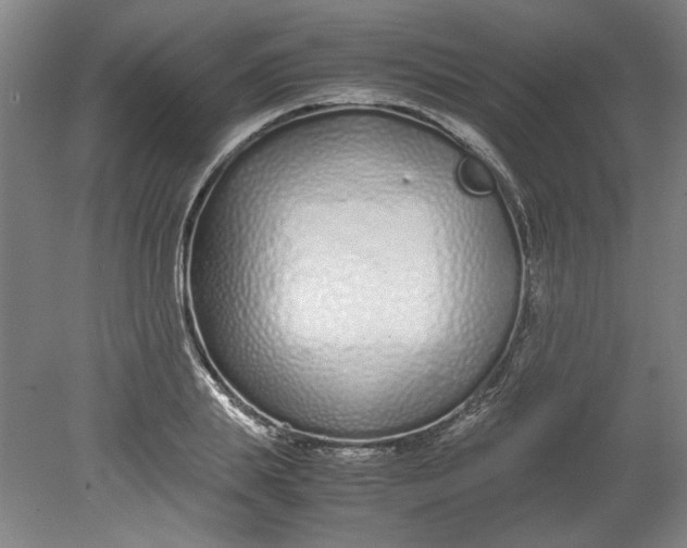 X0000080710839200701021026