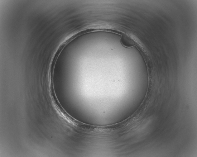 X0000080710840200701021026