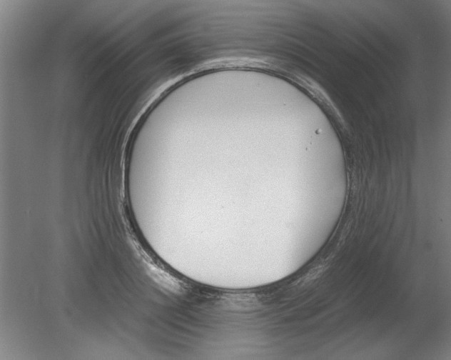 X0000080710844200701021026