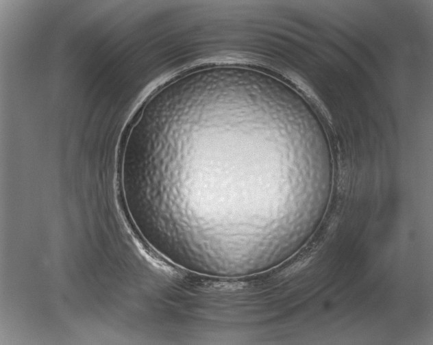 X0000080710845200701021026