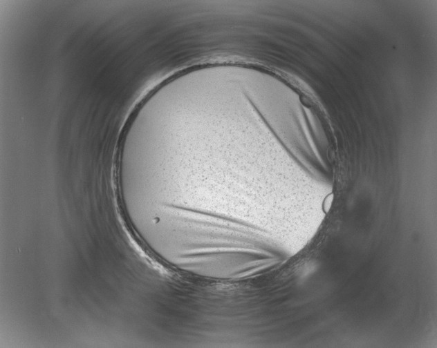 X0000080710847200701021026