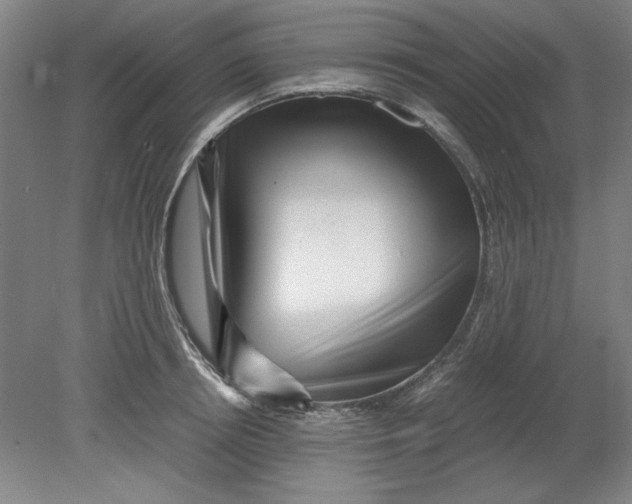 X0000080710850200701021026