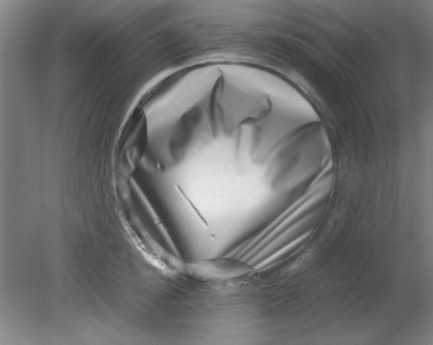 X0000080710854200701021026