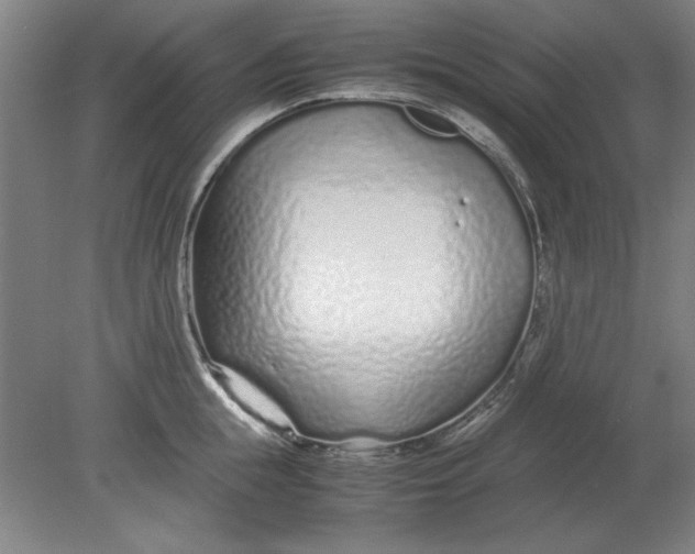 X0000080710855200701021026