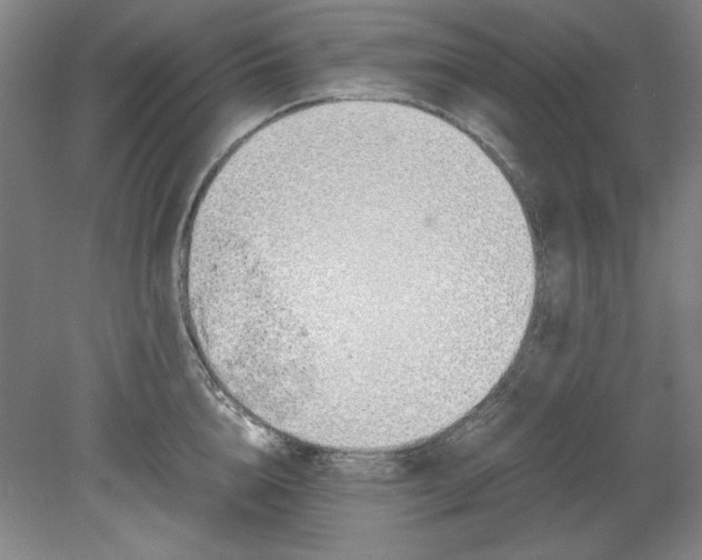 X0000080710856200701021026